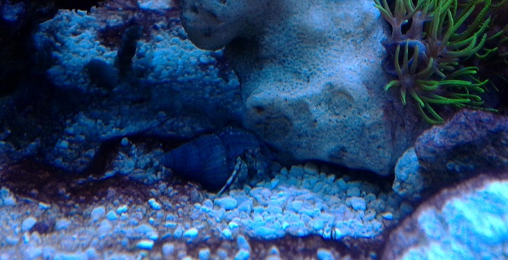 IMG 20130627 145927 - 