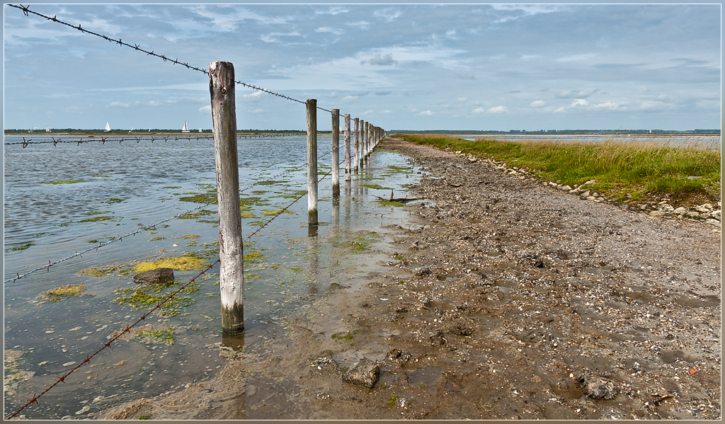 DSC 5988bVeerhoek - Langs een draadje - 