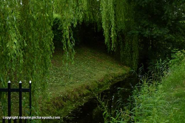 Riet en Hans op bezoek 29-06-13 (56) R.I.P. Moeder 14-11-1921 * 31-12-2012