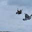 IMG 5038 - Pigeons - June of 2013 (Norfolk, VA)