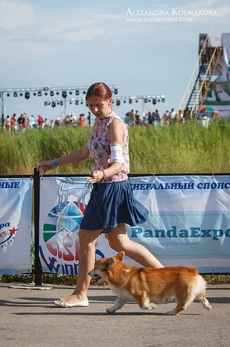 0 7ee3c 33c718ca L - 