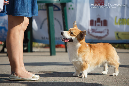 0 7ee3d 596680df L - 