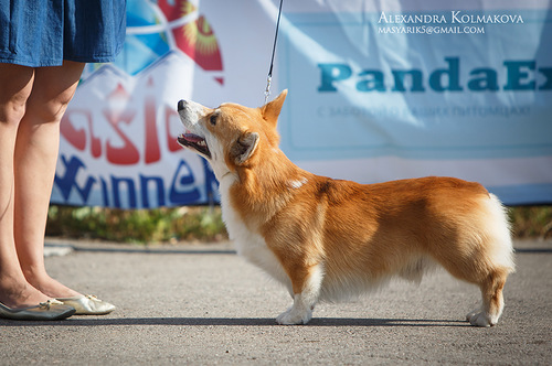 0 7ee35 8fcffb45 L - 