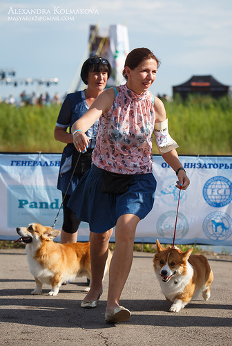 0 7ee3a acabf27c L - 