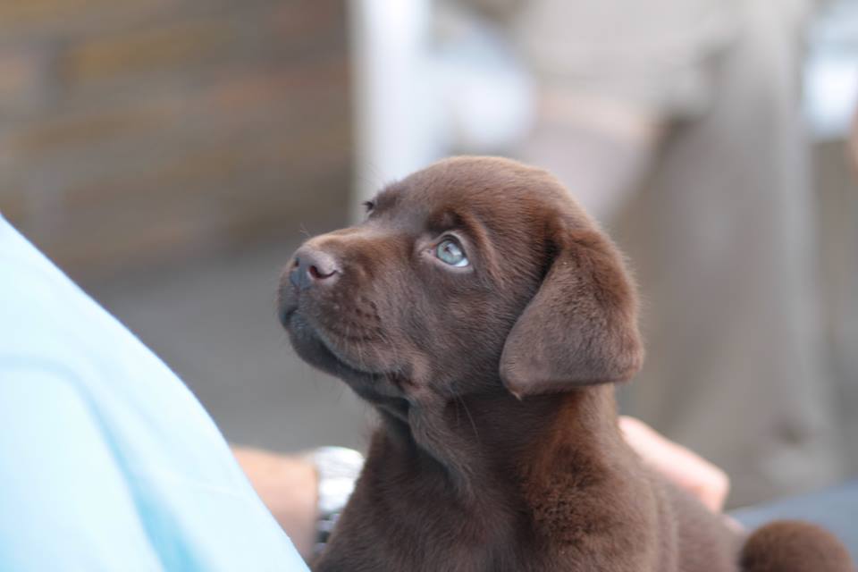 1005157 480277492053319 282403998 n - 