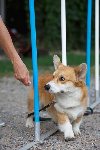 0 7f1c1 69998aba L - 