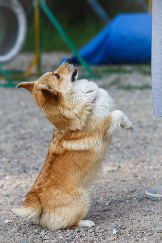 0 7f1c7 d2ec6272 L - 