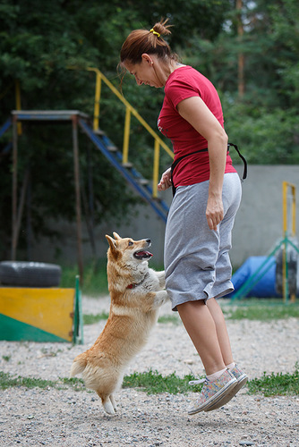 0 7f1e9 c94feddf L - 