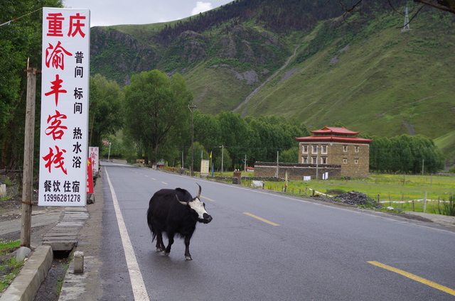  Sichuan (å››å·)