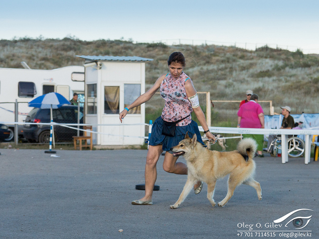 9324784073 0a30ef3b5b z - 