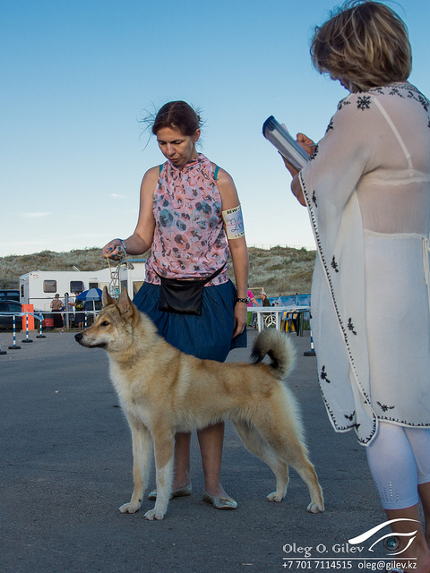 9327577470 5e1c9d6086 z - 