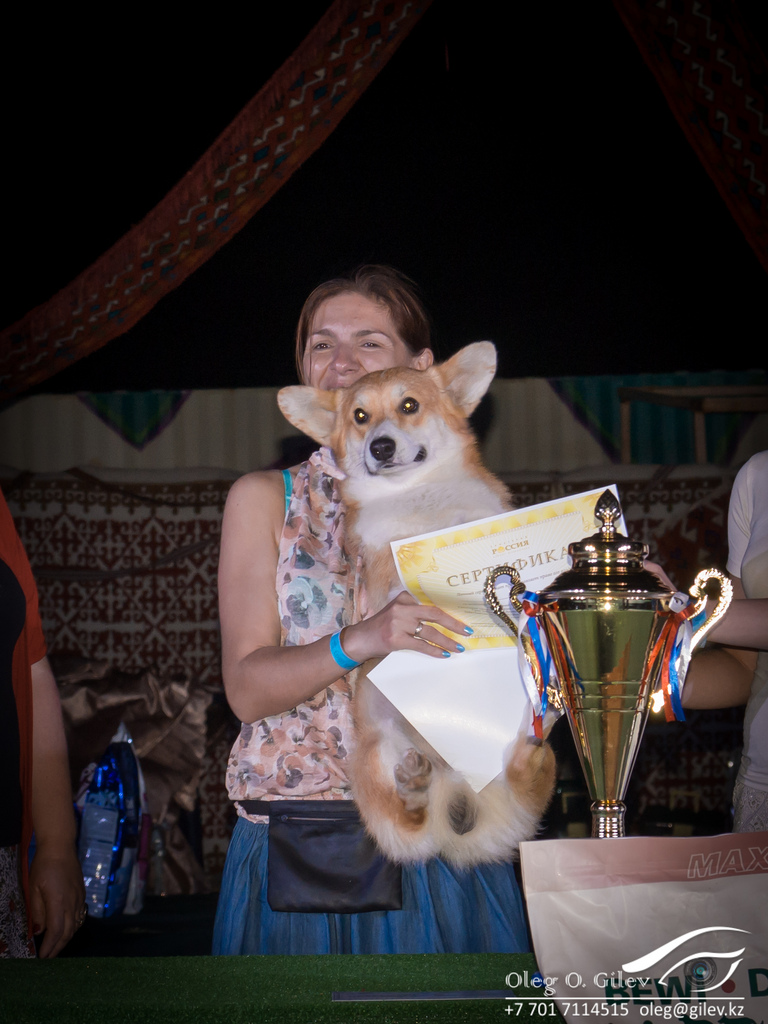 9327015717 3efef12ed5 b - 