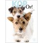 Kop-Op!-(groene-tekst)-(hon... - Picture Box