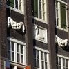 P1320574 - amsterdam