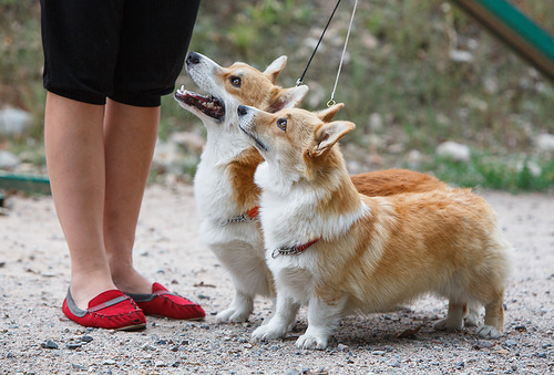 0 80f15 71974d53 L - 