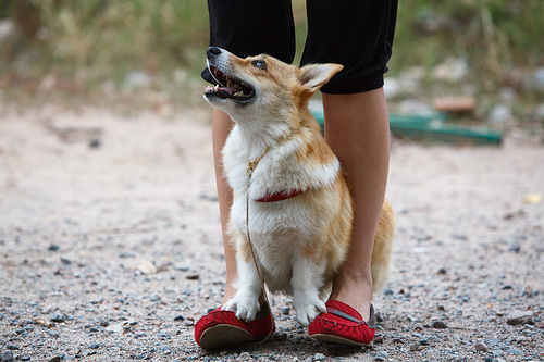 0 80f3e 7b6be9f9 L - 