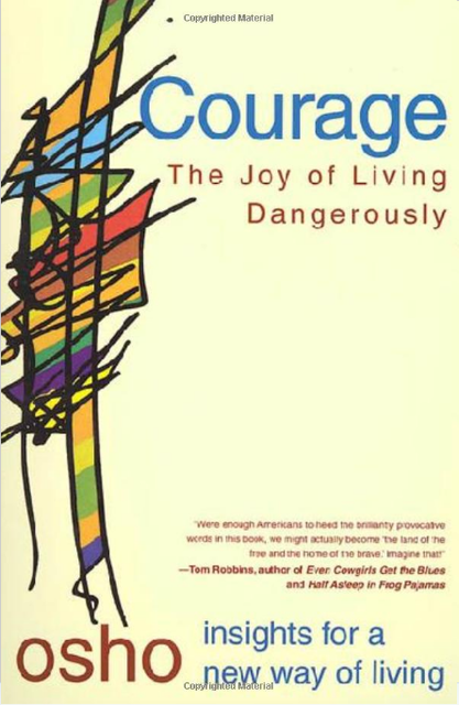Courage The Joy of Living Dangerously Picture Box