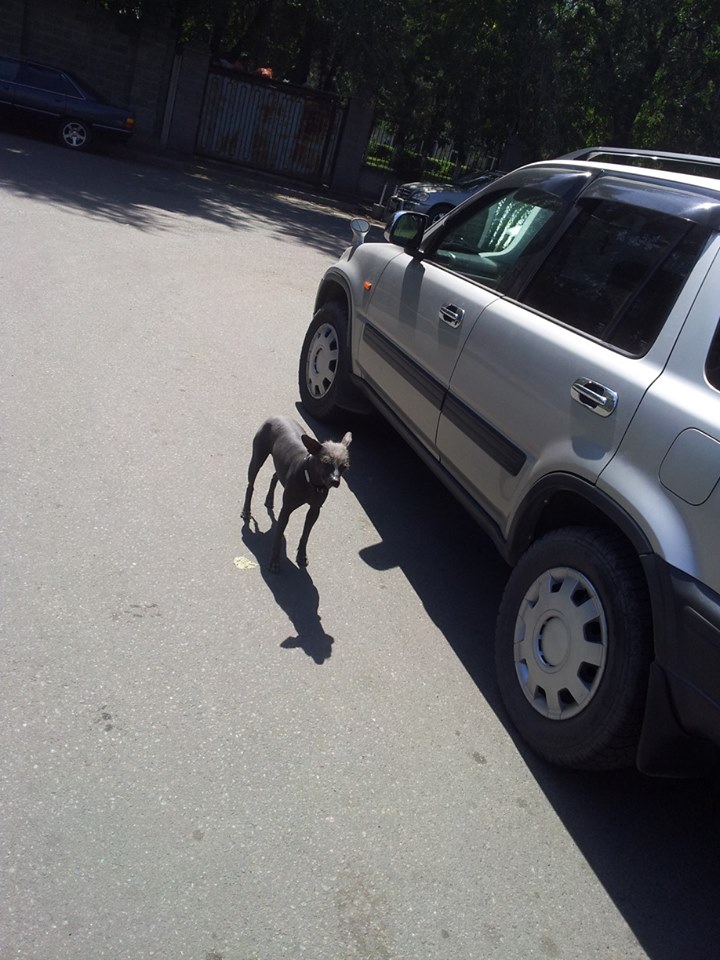 1236477 1415463352012322 1048437164 n - 