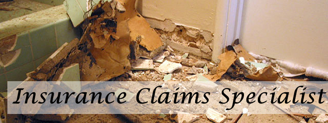insurance-claims-specialist-image Public Adjusters
