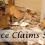 insurance-claims-specialist... - Public Adjusters