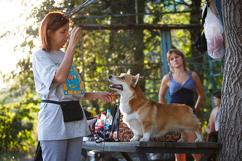 0 81b7e d1018834 L - 