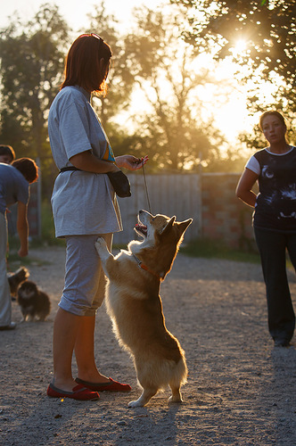 0 81b8a 681f2641 L - 