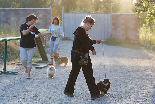 0 81b8d 514012f2 L - 