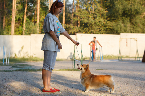 0 81b8f 9324f656 L - 