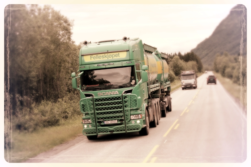 31 trucks