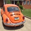 IMG 1516 - The super beetle