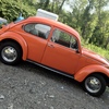 IMG 1777 - The super beetle