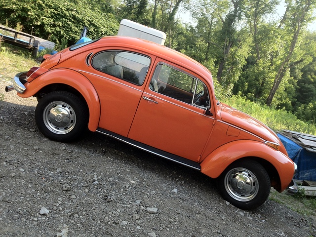 IMG 1777 The super beetle