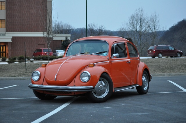 IMG 3083 The super beetle