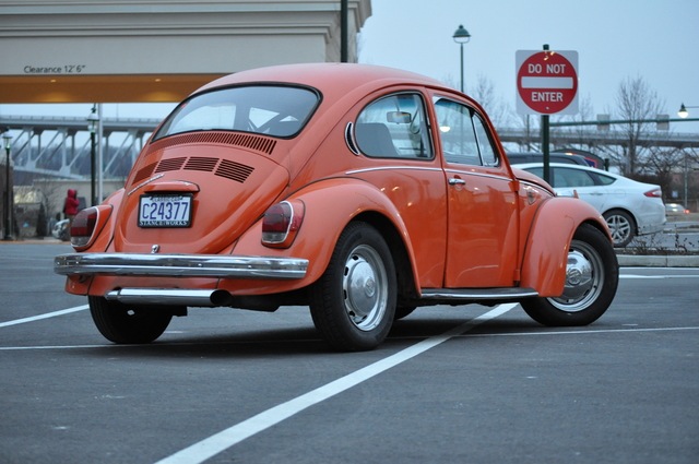 IMG 3084 The super beetle