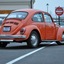 IMG 3084 - The super beetle