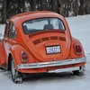 IMG 3281 - The super beetle
