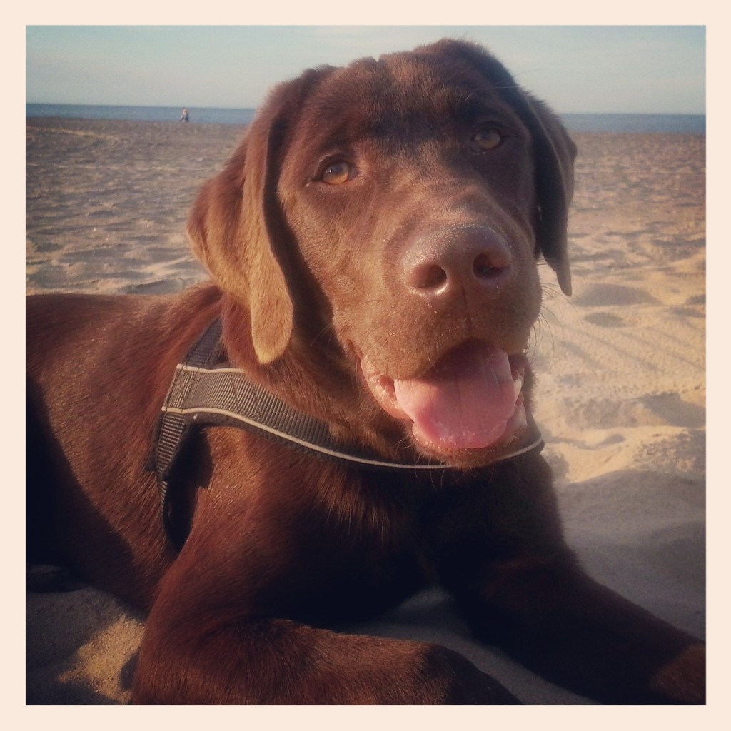 IMG 20130907 211900 - 