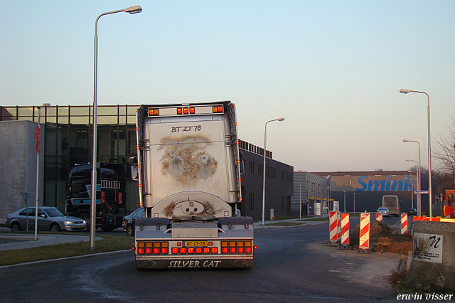 vanoirschot 003-border early 2009