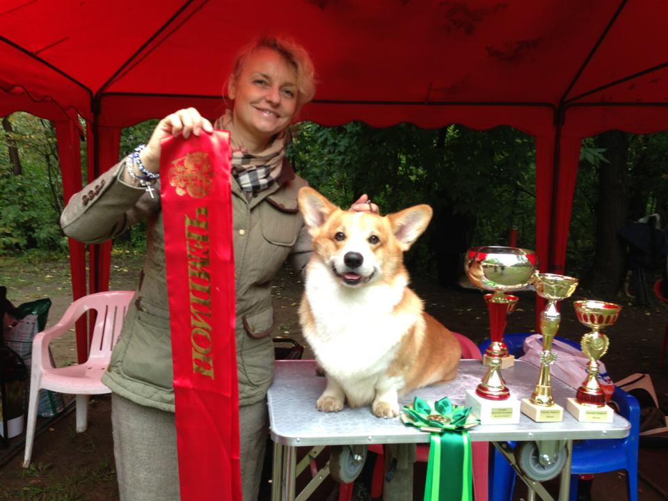 1239856 557575570976753 286824635 n - 