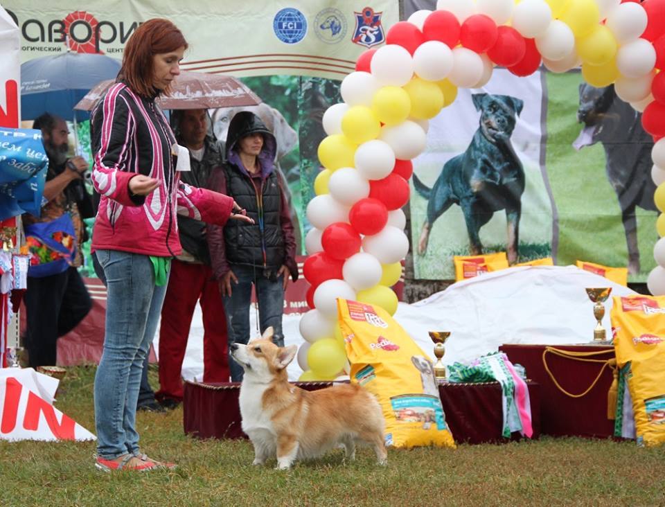 1291537 586788634696708 2790196 n - 