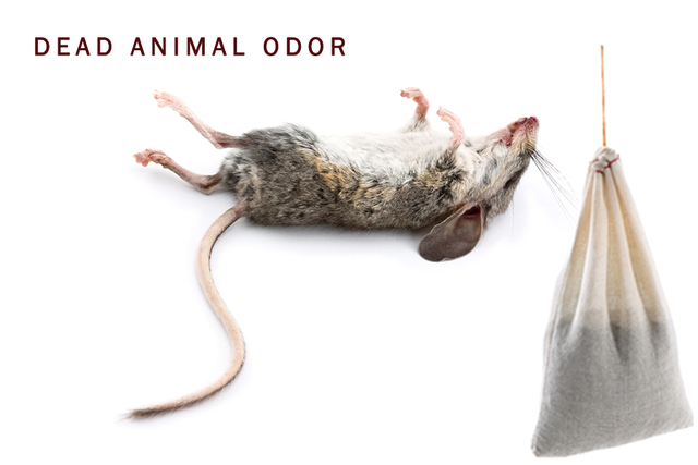 SMELLEZE Reusable Dead Animal Odor Removal Pouch:  SMELLEZE