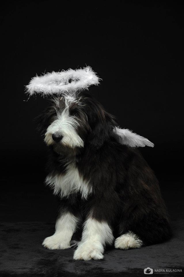 373854 10150440174574232 2137198548 n - 