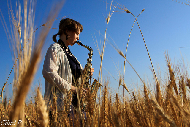 saxo 003-1 Atmosphere - In the Field 