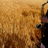 saxo 059-1 - Atmosphere - In the Field 