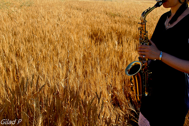 saxo 059-1 Atmosphere - In the Field 