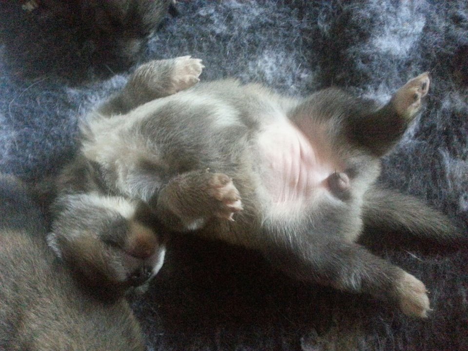 548454 726665450682221 1061569738 n - 