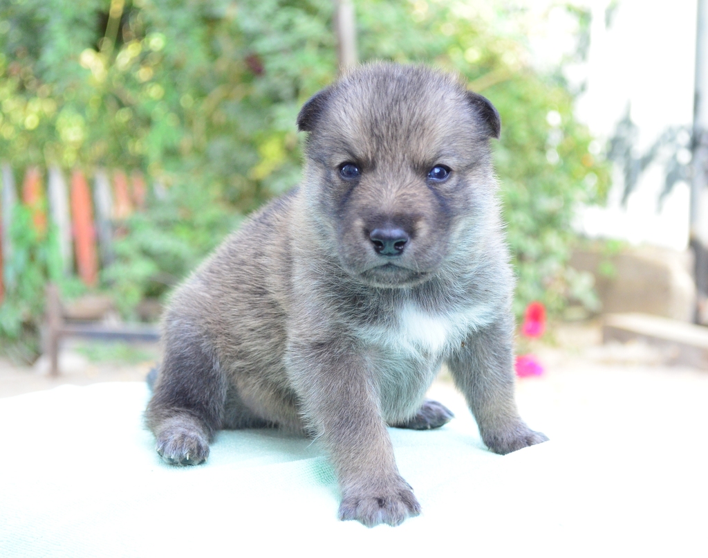 2013-10-05 12.47.43 - 