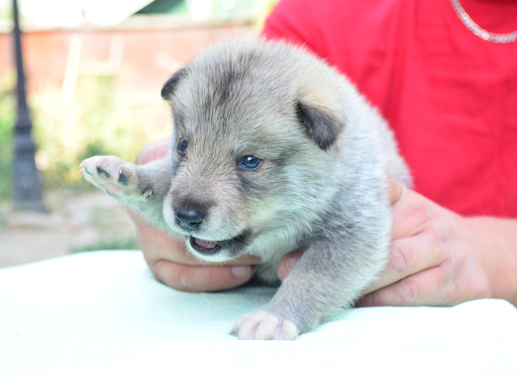 2013-10-05 12.50.21 - 