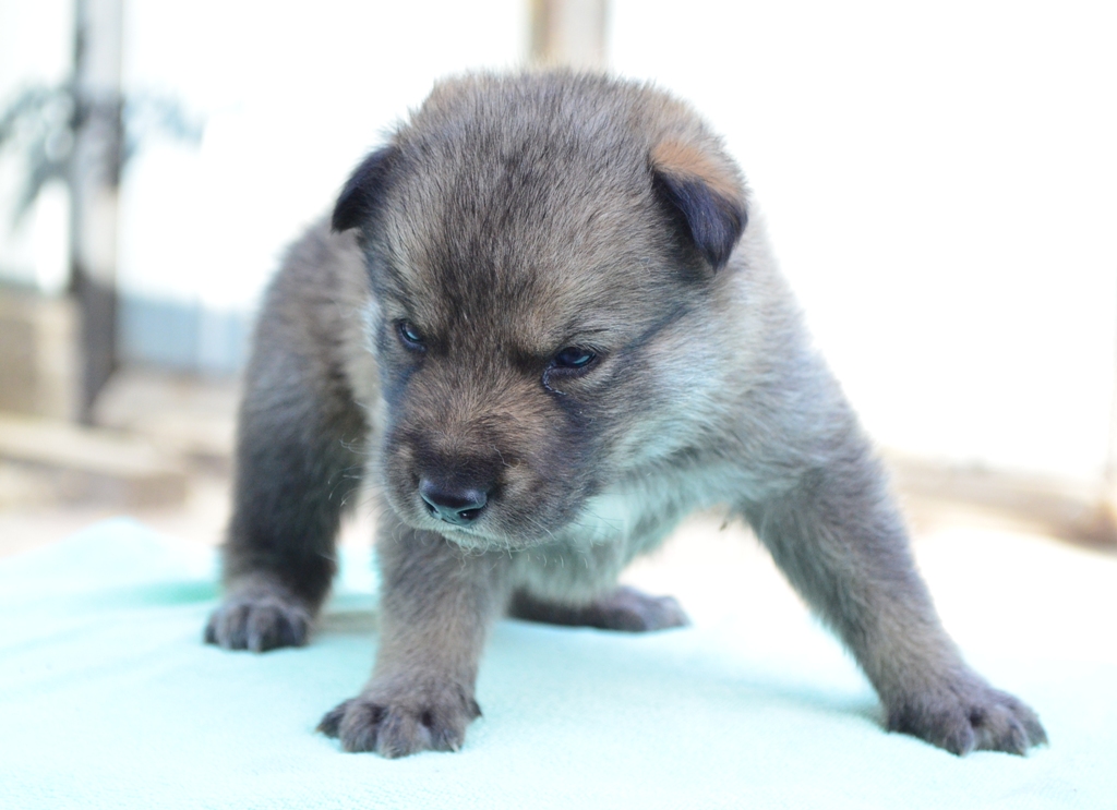 2013-10-05 12.51.16 - 