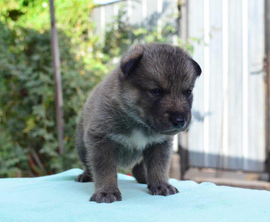 2013-10-05 12.51.40 - 